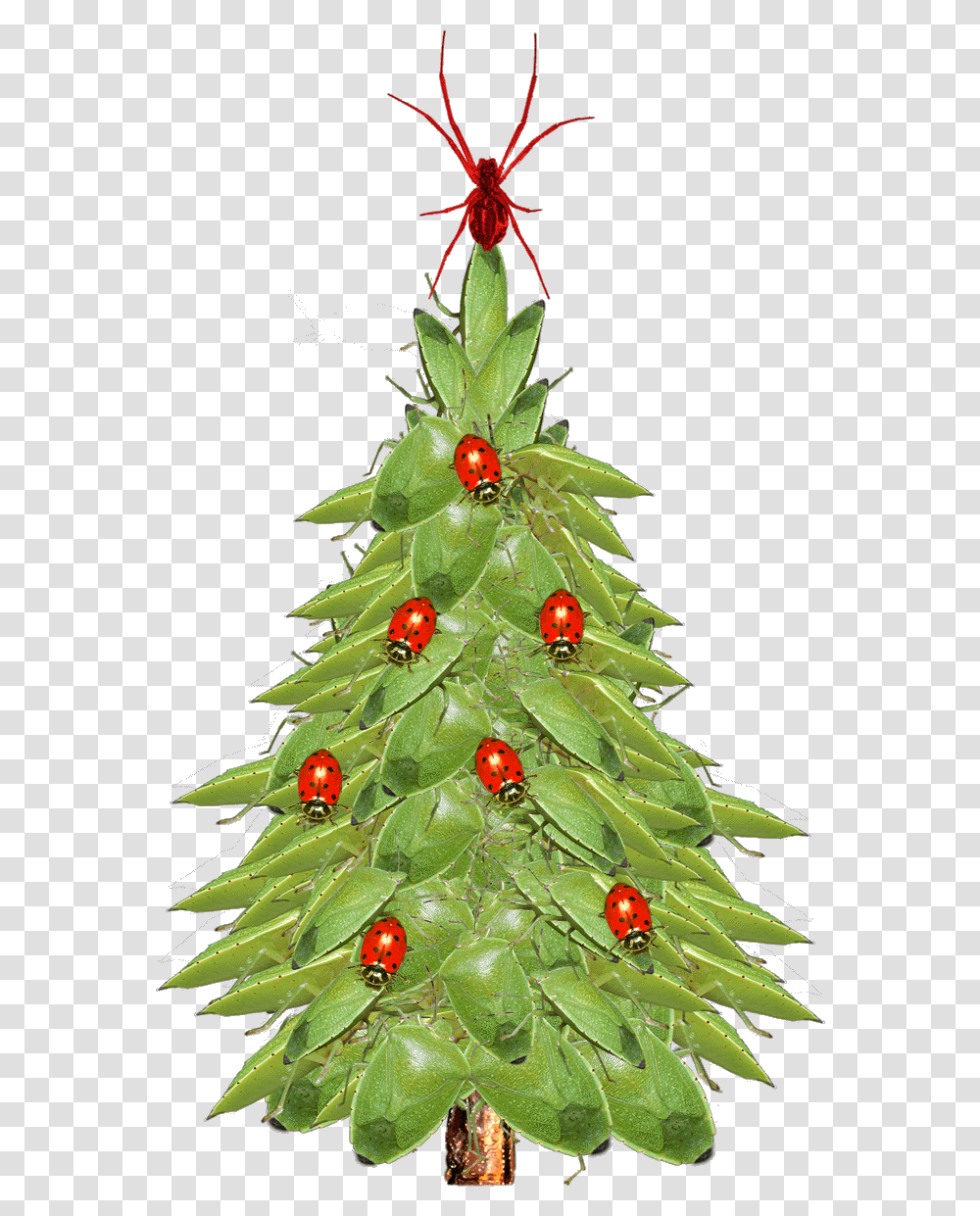 Christmas Tree Closeup Xmas Tree, Plant, Ornament, Pineapple, Fruit Transparent Png