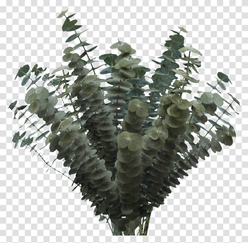 Christmas Tree, Crystal, Chandelier, Lamp, Glass Transparent Png