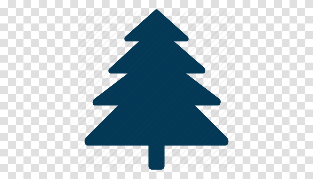 Christmas Tree Cypress Tree Evergreen Tree Fire Tree Tree Icon, Plant, Abies, Star Symbol Transparent Png