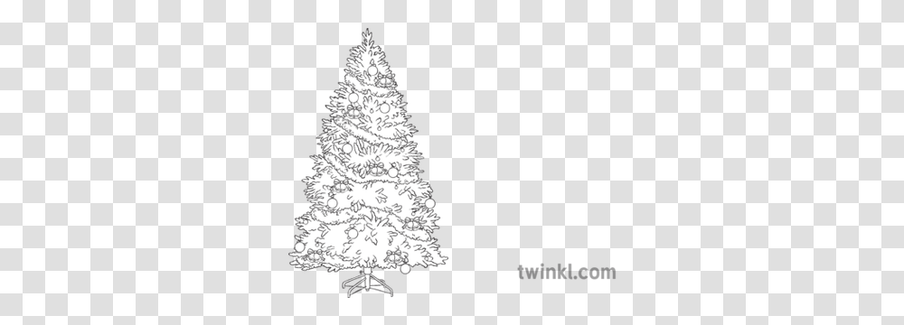 Christmas Tree Decorations Tinsel Bauble Bells Topics Christmas Ornament, Plant, Star Symbol, Lighting, Fir Transparent Png
