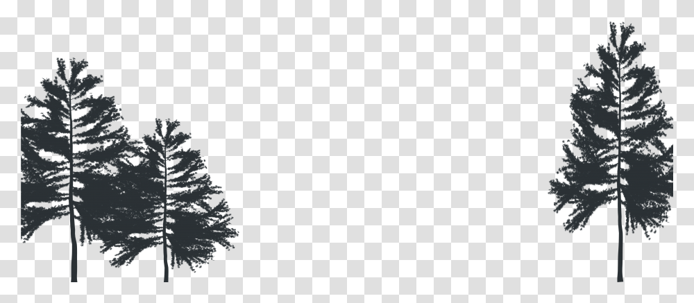 Christmas Tree Download Christmas Tree, Outdoors, Nature, Plant, Gray Transparent Png