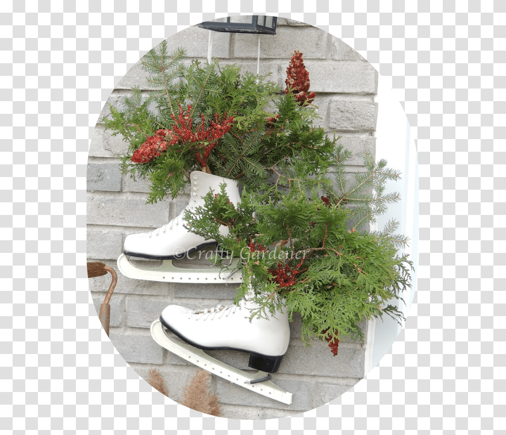 Christmas Tree Download Christmas Tree, Plant, Shoe, Footwear Transparent Png