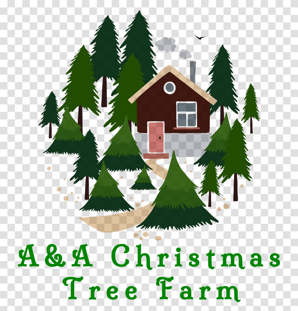 Christmas Tree Farm Clipart, Plant, Ornament, Conifer, Lighting Transparent Png