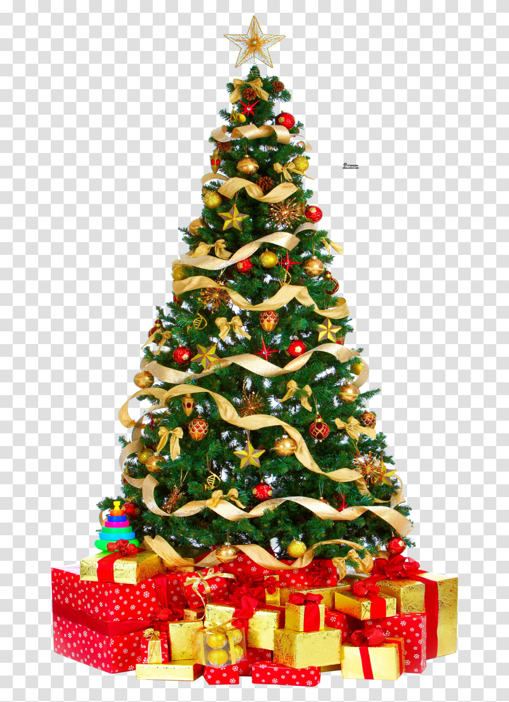 Christmas Tree Free Download Christmas Tree Download, Plant, Ornament, Vegetation, Bush Transparent Png