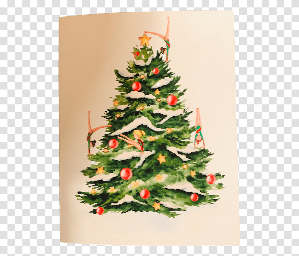 Christmas Tree Freepik, Plant, Ornament Transparent Png