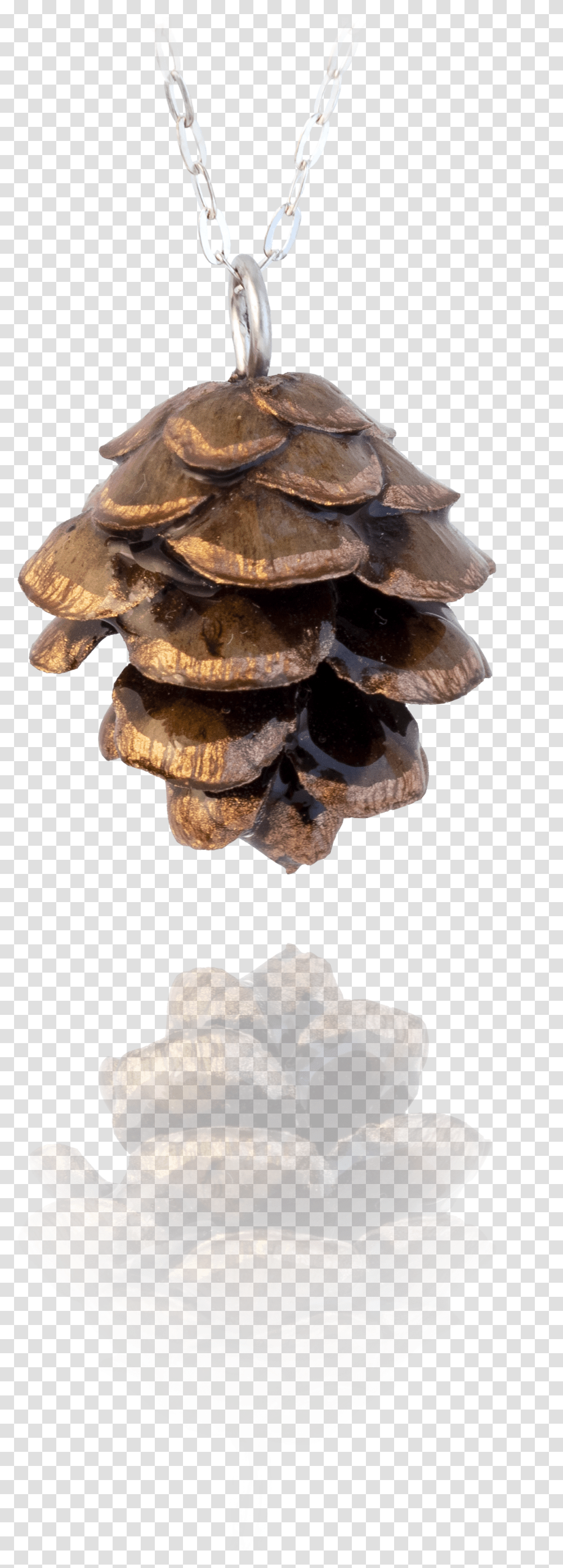 Christmas Tree, Fungus, Plant, Mushroom, Agaric Transparent Png