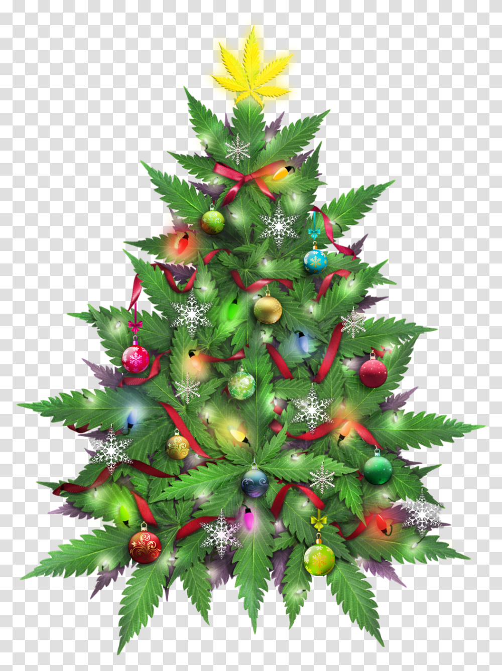 Christmas Tree Hd, Ornament, Plant Transparent Png