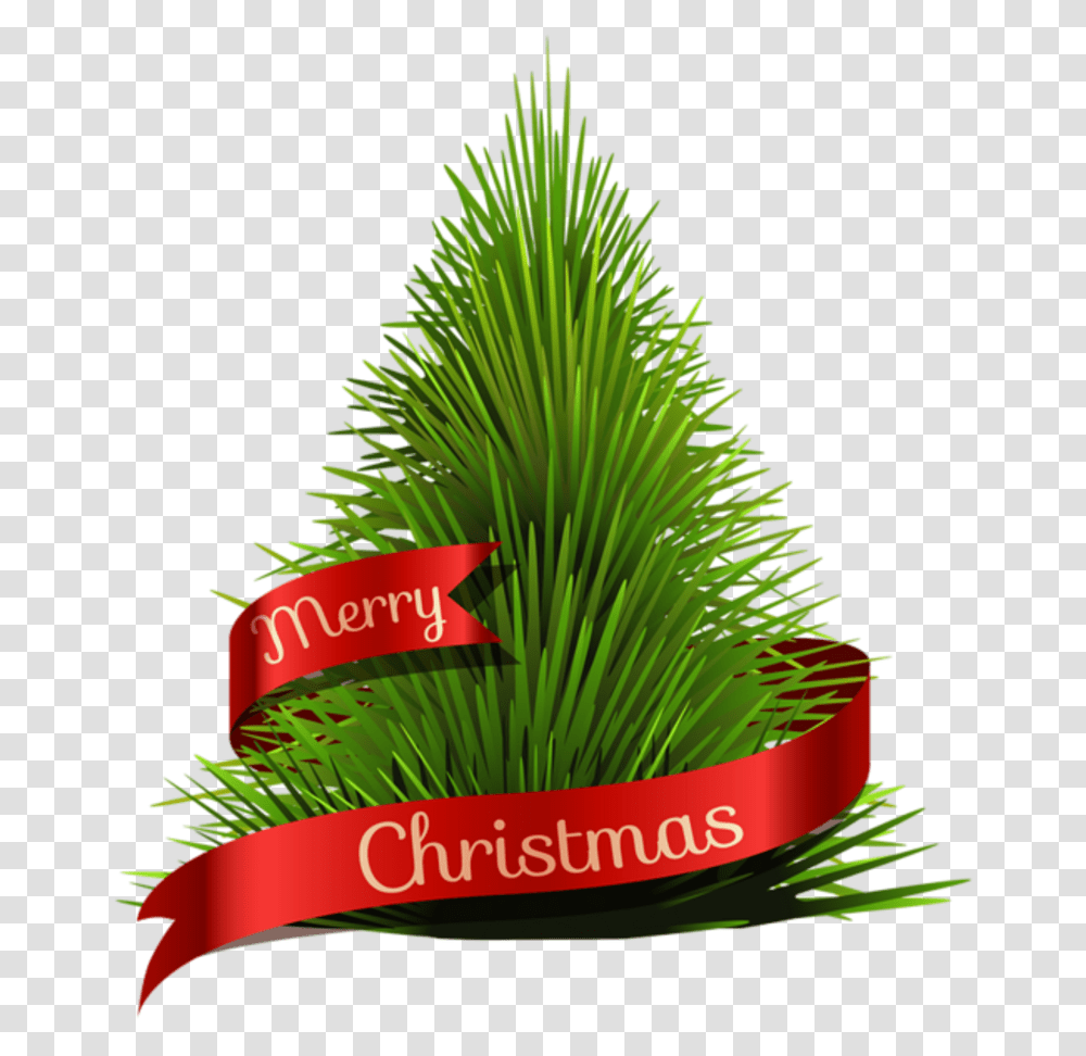 Christmas Tree Hd, Plant, Green, Conifer, Bush Transparent Png