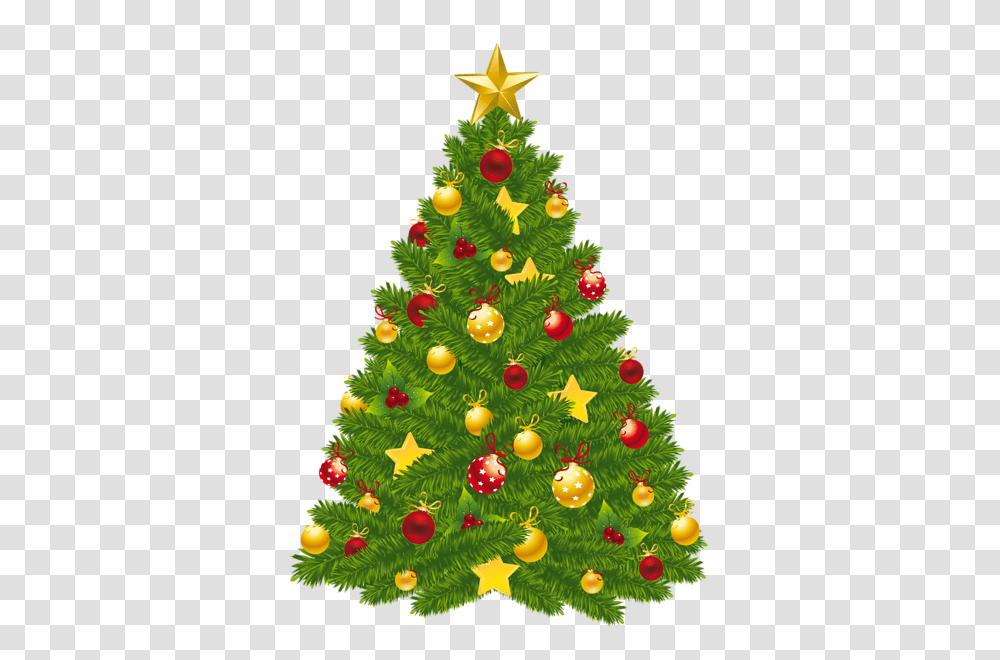 Christmas Tree, Holiday, Ornament, Plant, Bush Transparent Png