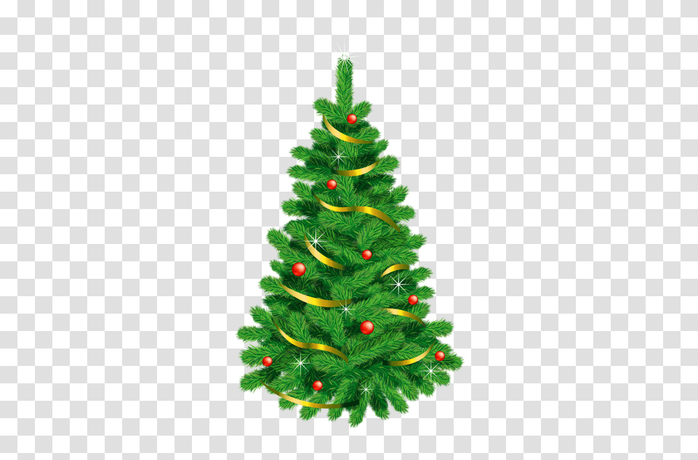 Christmas Tree, Holiday, Ornament, Plant, Bush Transparent Png