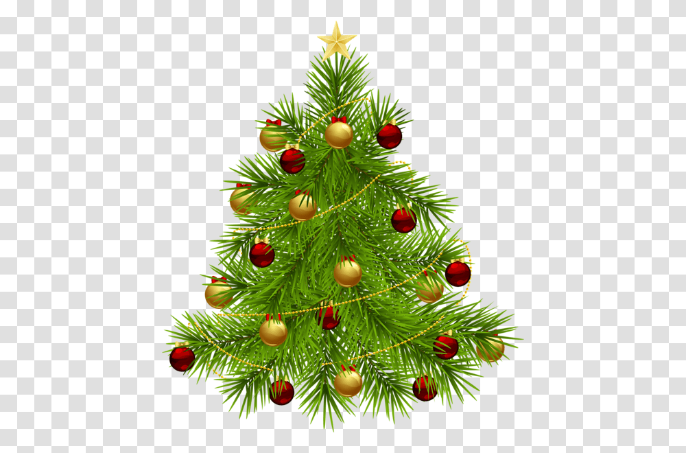 Christmas Tree, Holiday, Ornament, Plant, Conifer Transparent Png