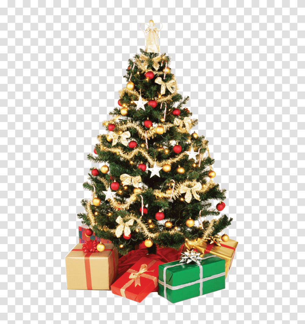 Christmas Tree, Holiday, Ornament, Plant, Gift Transparent Png