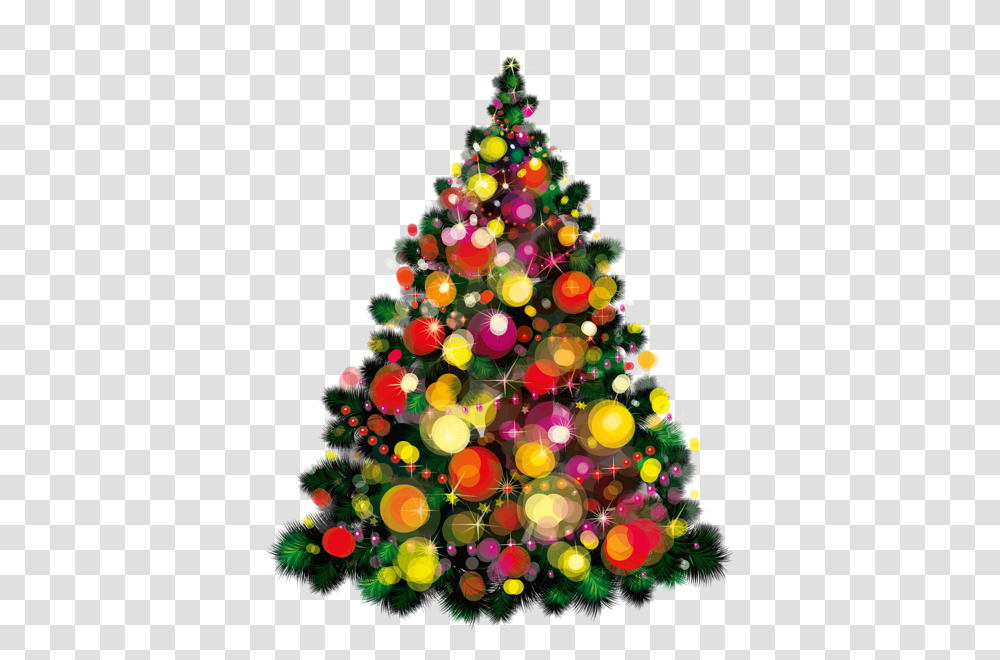 Christmas Tree, Holiday, Ornament, Plant, Lighting Transparent Png