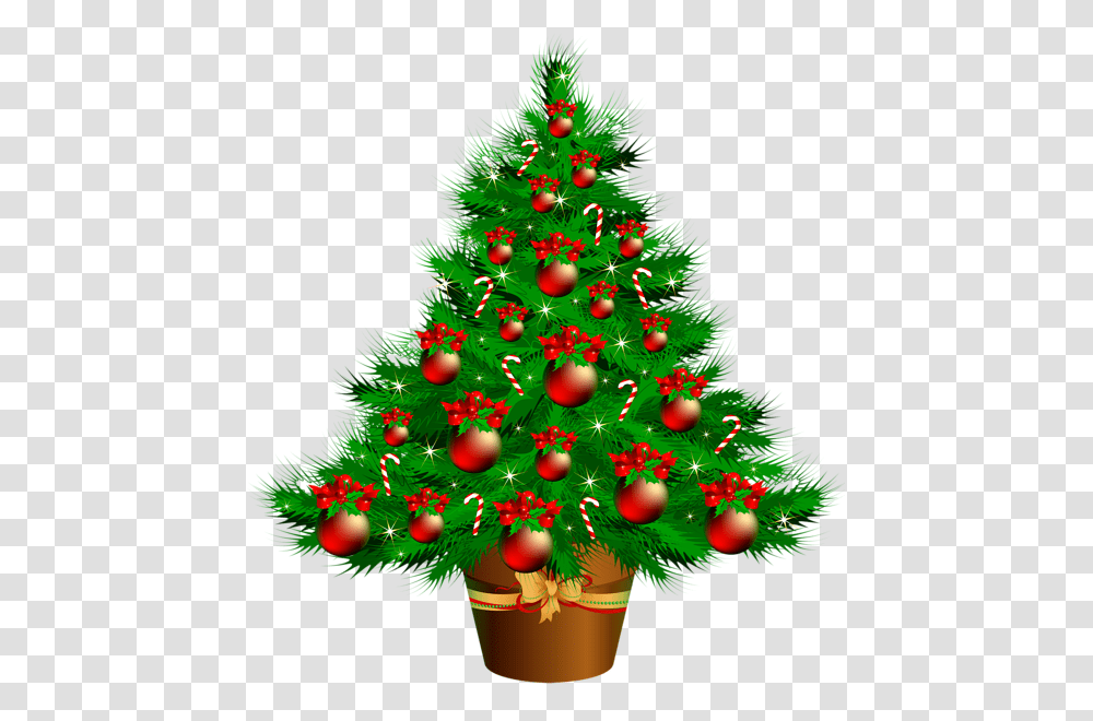 Christmas Tree, Holiday, Ornament, Plant, Lighting Transparent Png