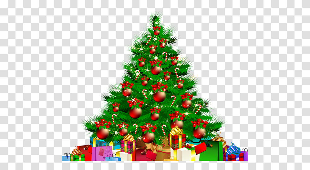 Christmas Tree, Holiday, Ornament, Plant, Lighting Transparent Png