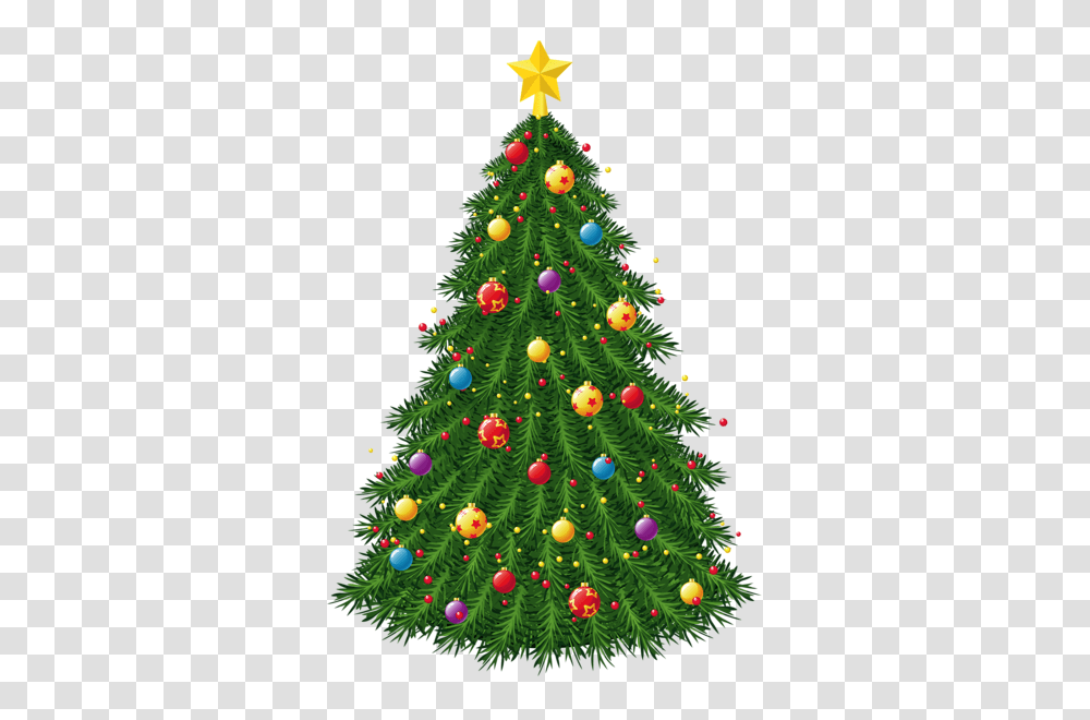 Christmas Tree, Holiday, Ornament, Plant, Lighting Transparent Png