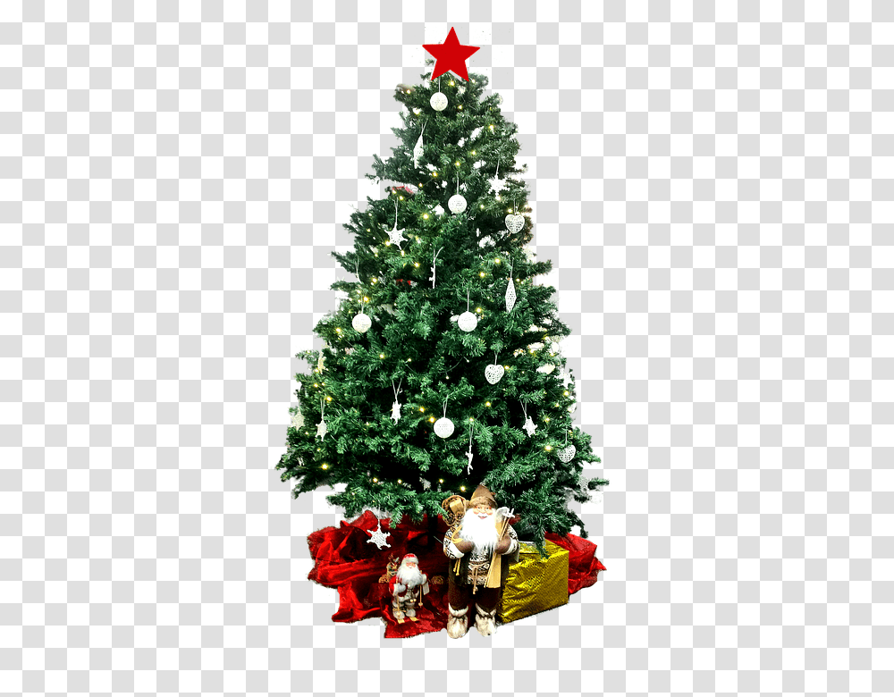 Christmas Tree, Holiday, Ornament, Plant, Person Transparent Png