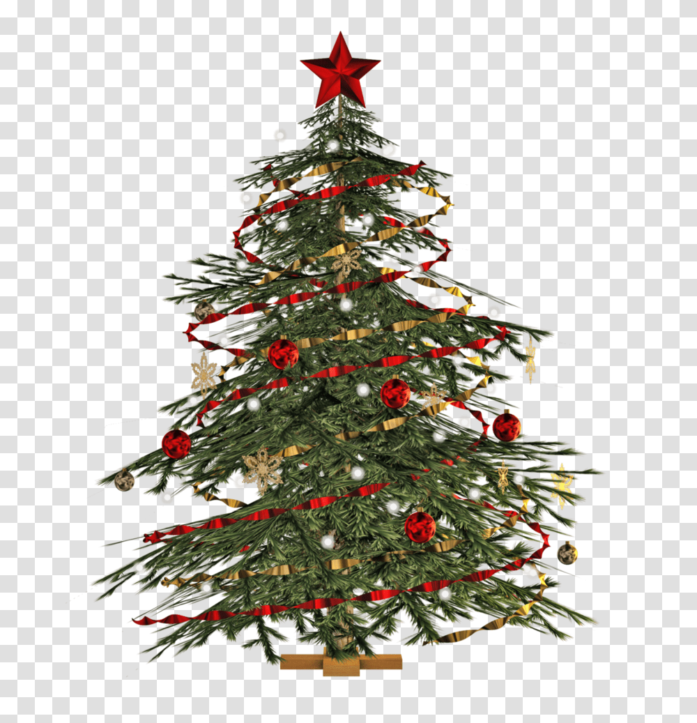 Christmas Tree, Holiday, Ornament, Plant, Pine Transparent Png