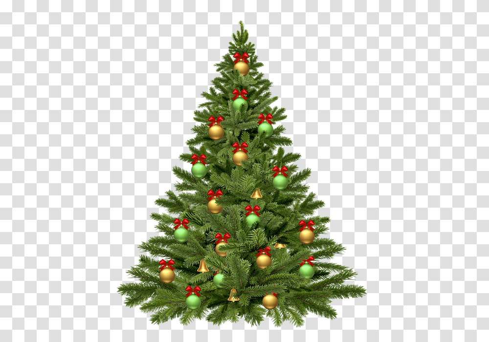 Christmas Tree, Holiday, Ornament, Plant, Pine Transparent Png