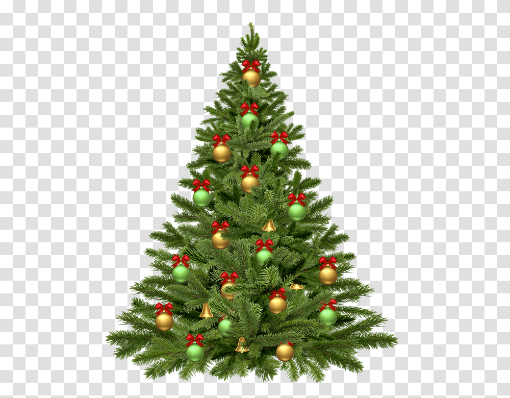 Christmas Tree, Holiday, Ornament, Plant, Pine Transparent Png