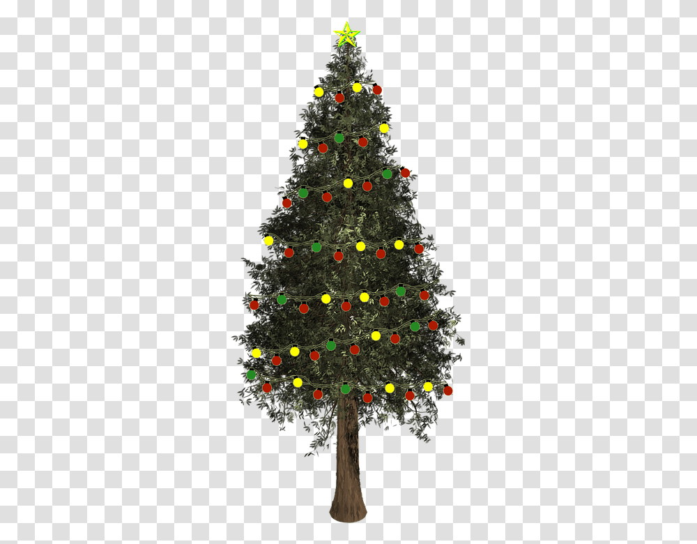 Christmas Tree, Holiday, Ornament, Plant, Pine Transparent Png