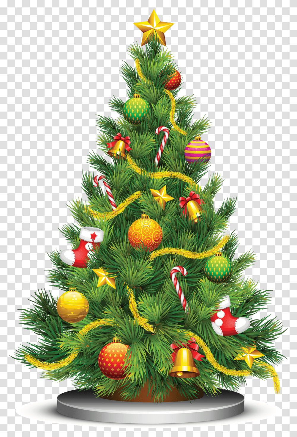 Christmas Tree, Holiday, Ornament, Plant, Pine Transparent Png