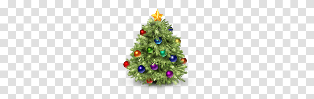 Christmas Tree, Holiday, Ornament, Plant, Pine Transparent Png