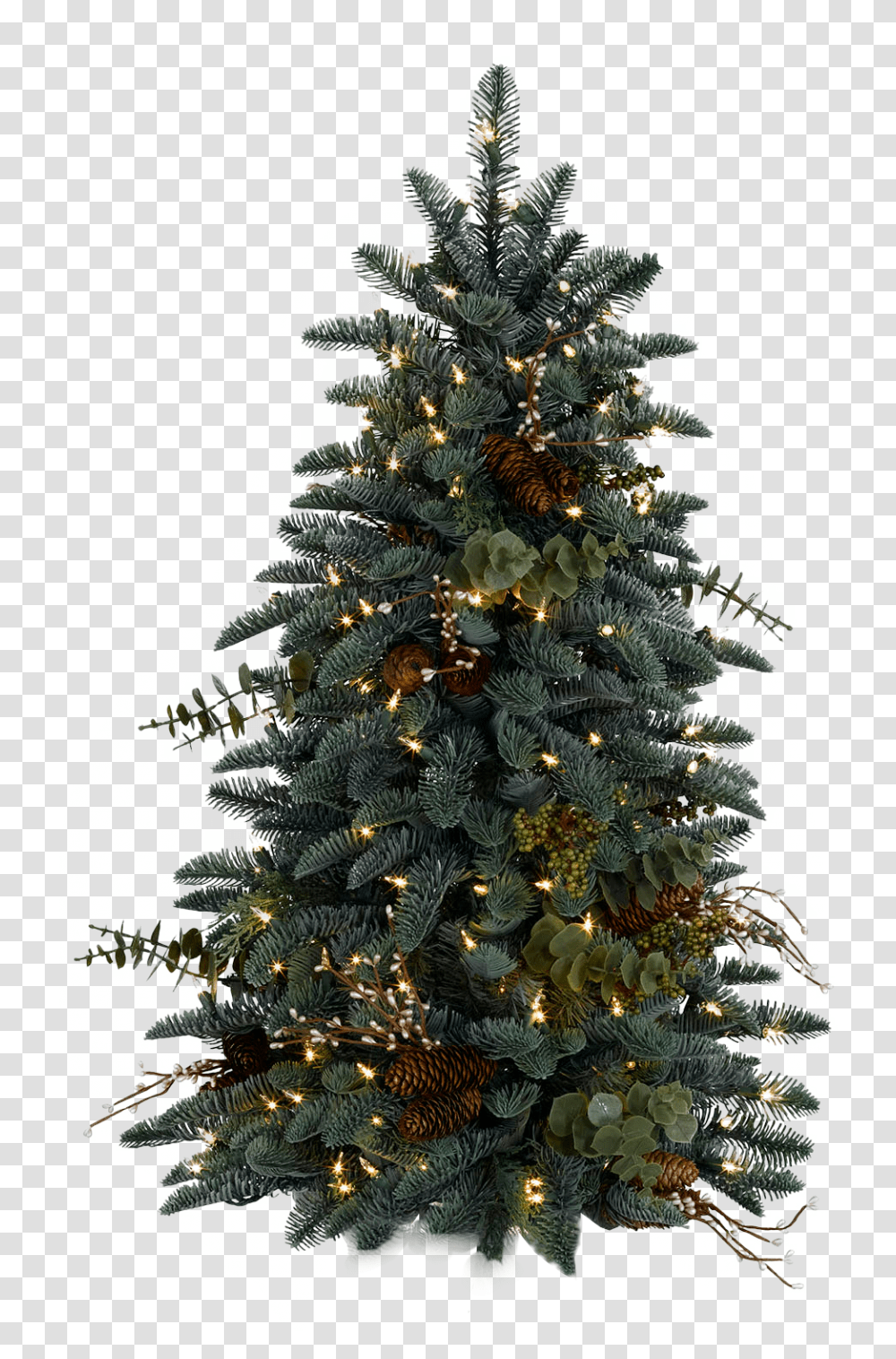 Christmas Tree, Holiday, Ornament, Plant, Pine Transparent Png