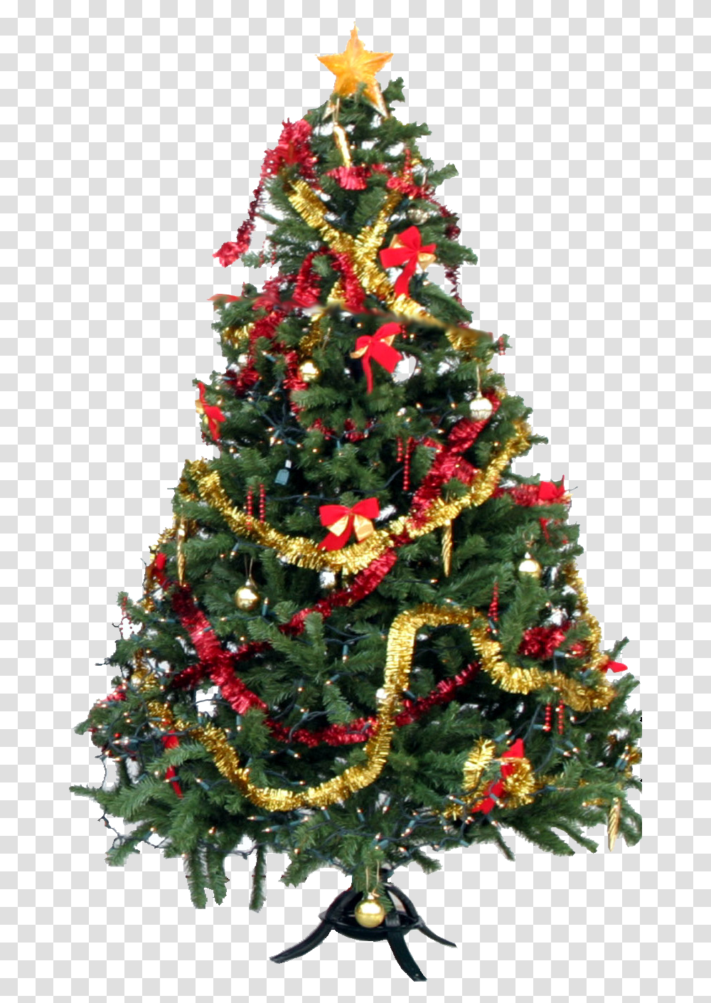 Christmas Tree, Holiday, Ornament, Plant, Pine Transparent Png