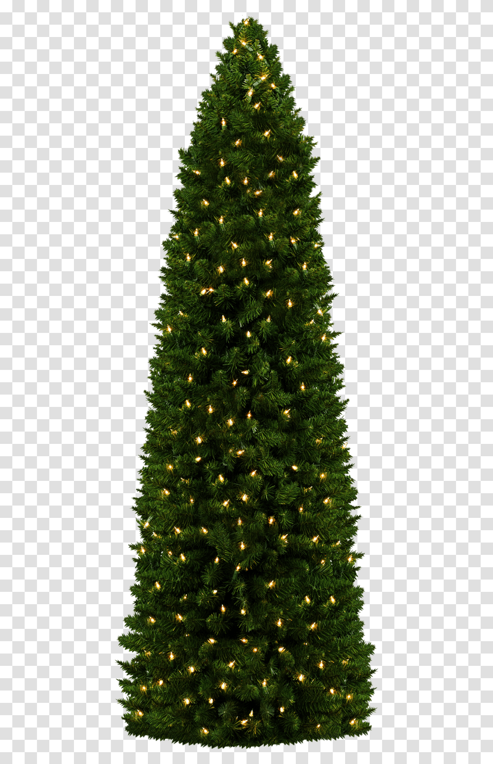 Christmas Tree, Holiday, Ornament, Plant, Pine Transparent Png