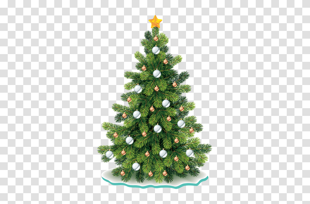 Christmas Tree, Holiday, Ornament, Plant, Pine Transparent Png