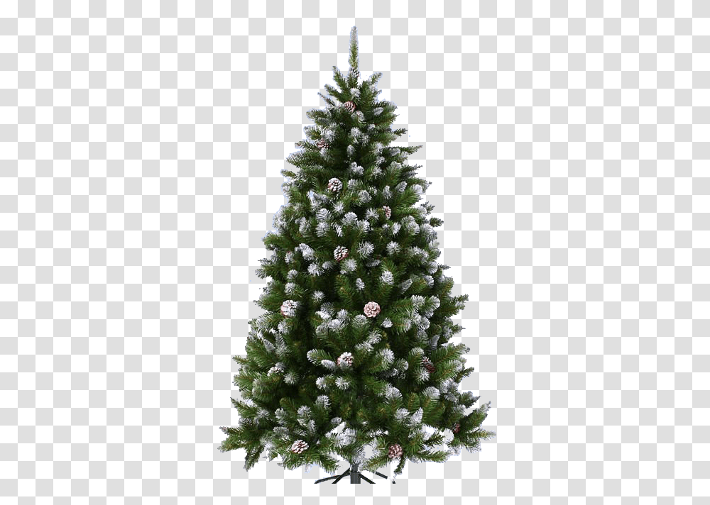 Christmas Tree, Holiday, Ornament, Plant, Pine Transparent Png