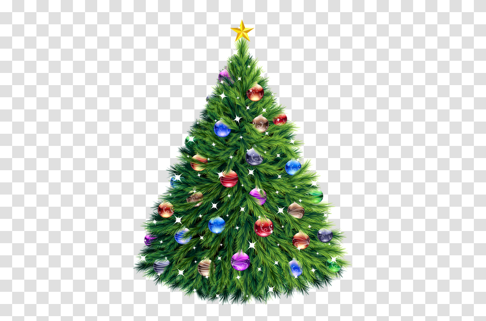 Christmas Tree, Holiday, Ornament, Plant, Pine Transparent Png