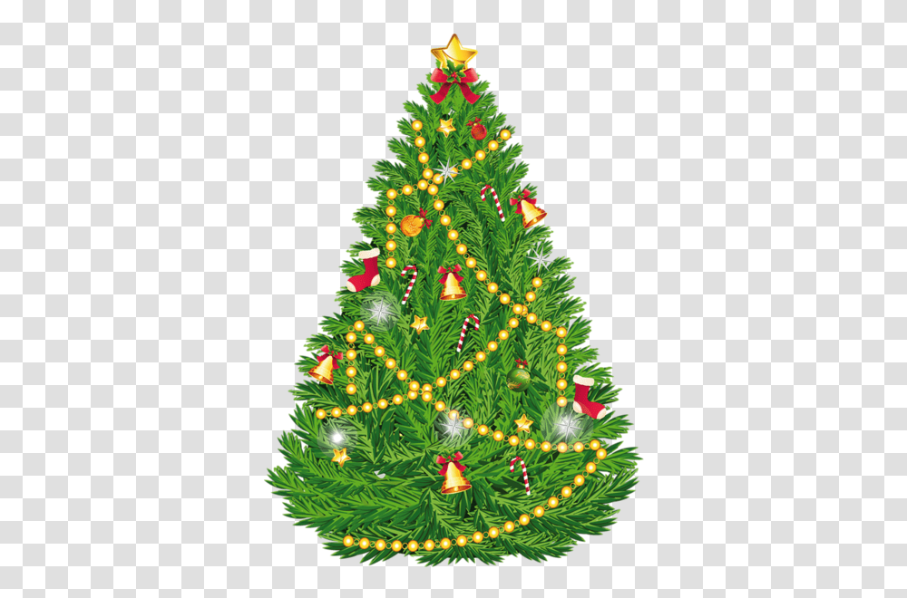 Christmas Tree, Holiday, Ornament, Plant, Pine Transparent Png