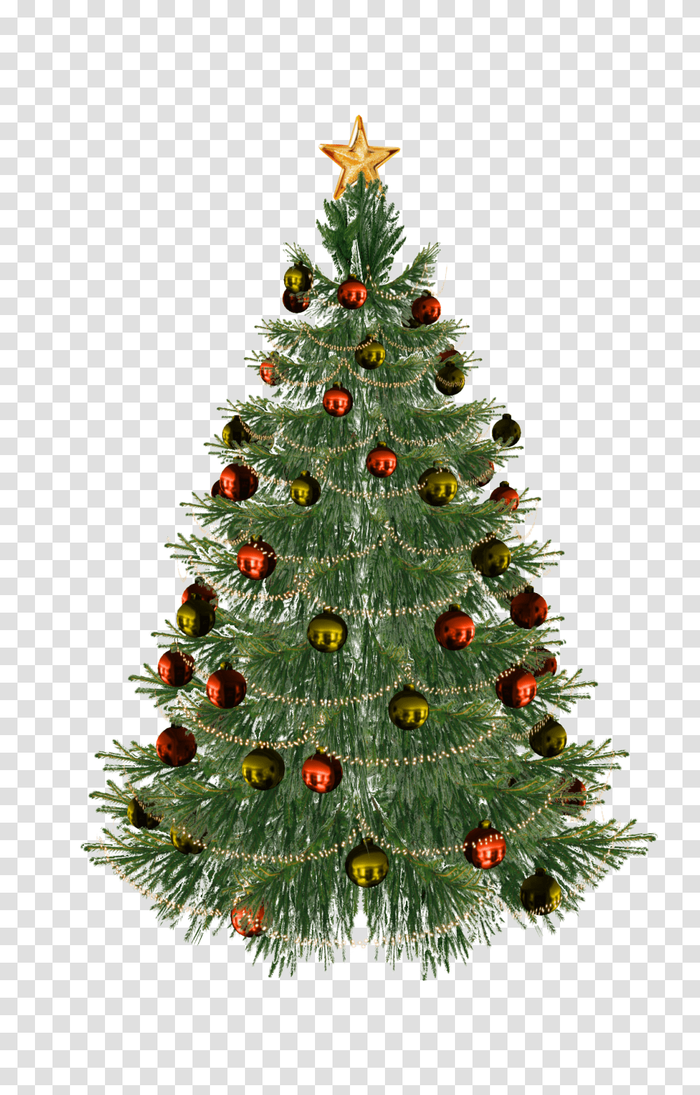 Christmas Tree, Holiday, Ornament, Plant, Pine Transparent Png