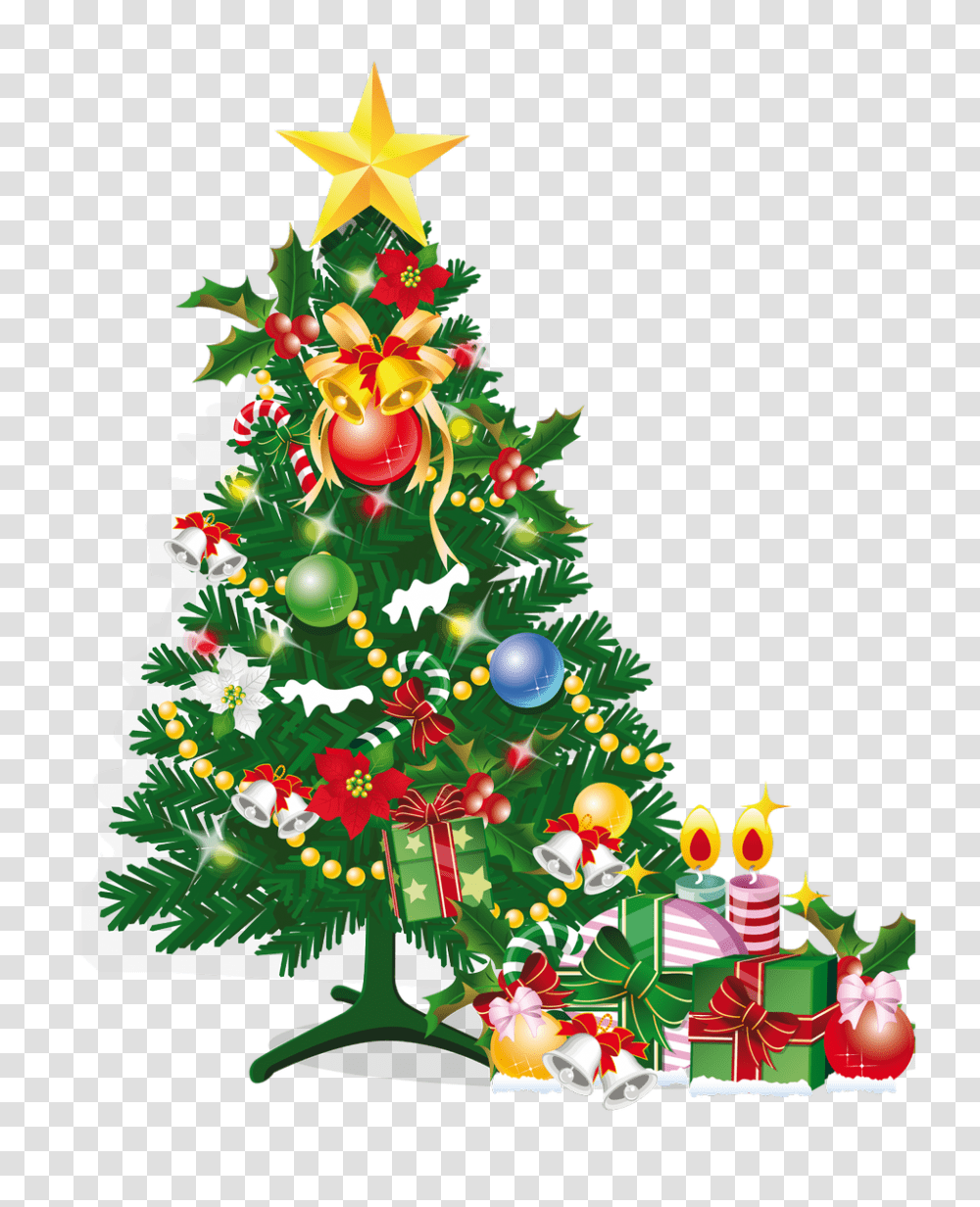 Christmas Tree, Holiday, Ornament, Plant, Star Symbol Transparent Png