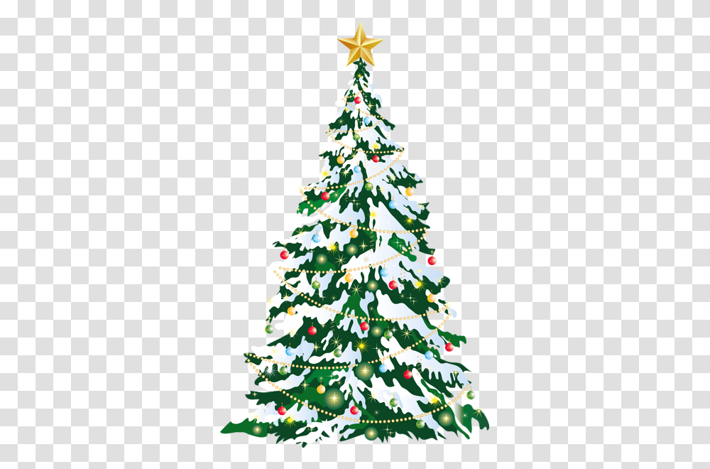 Christmas Tree, Holiday, Ornament, Plant, Star Symbol Transparent Png