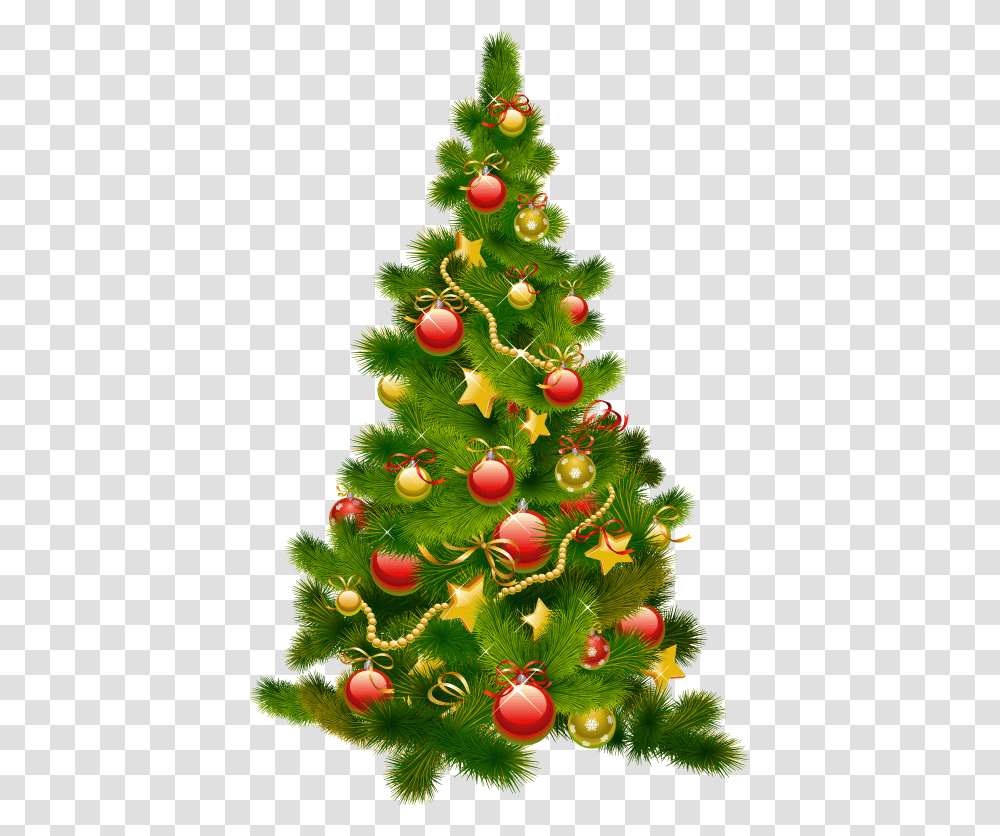 Christmas Tree, Holiday, Ornament, Plant Transparent Png