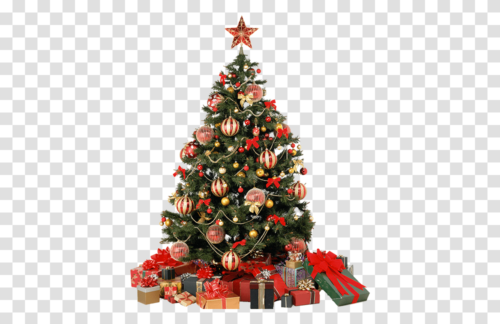 Christmas Tree, Holiday, Ornament, Plant Transparent Png