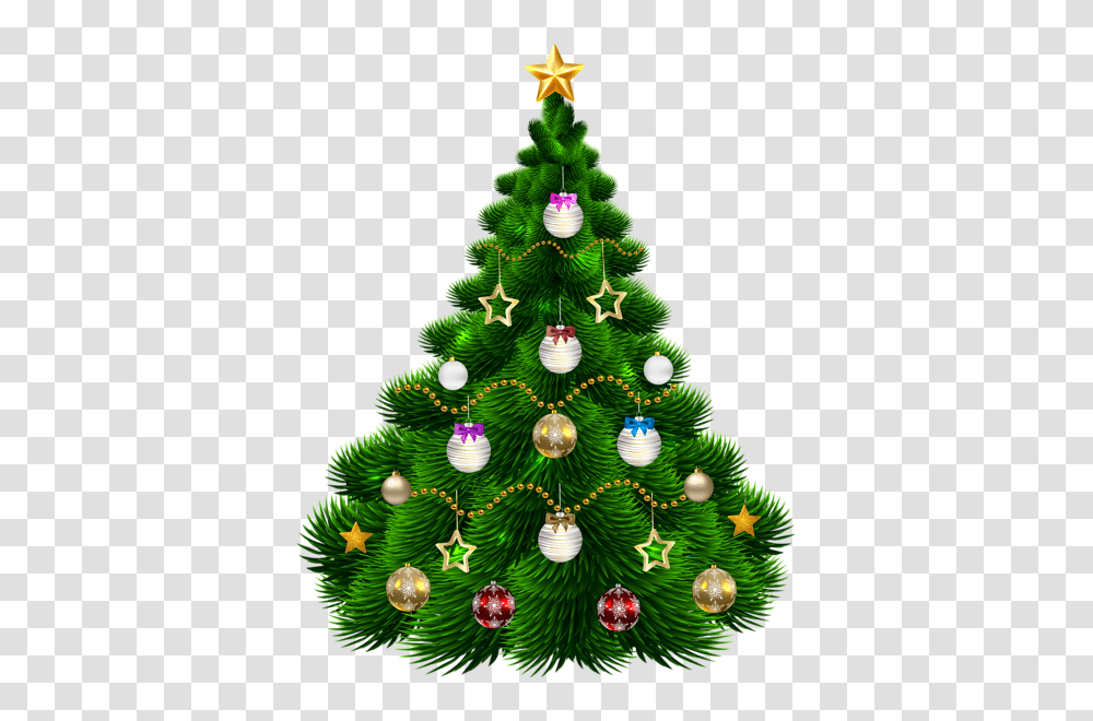 Christmas Tree, Holiday, Ornament, Plant Transparent Png