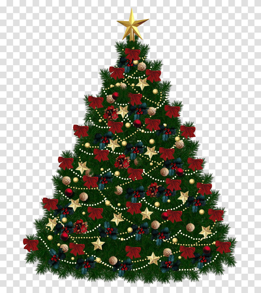 Christmas Tree, Holiday, Ornament, Plant Transparent Png