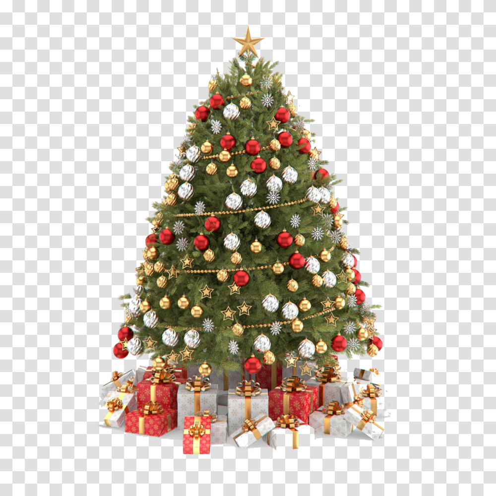 Christmas Tree, Holiday, Ornament, Plant Transparent Png