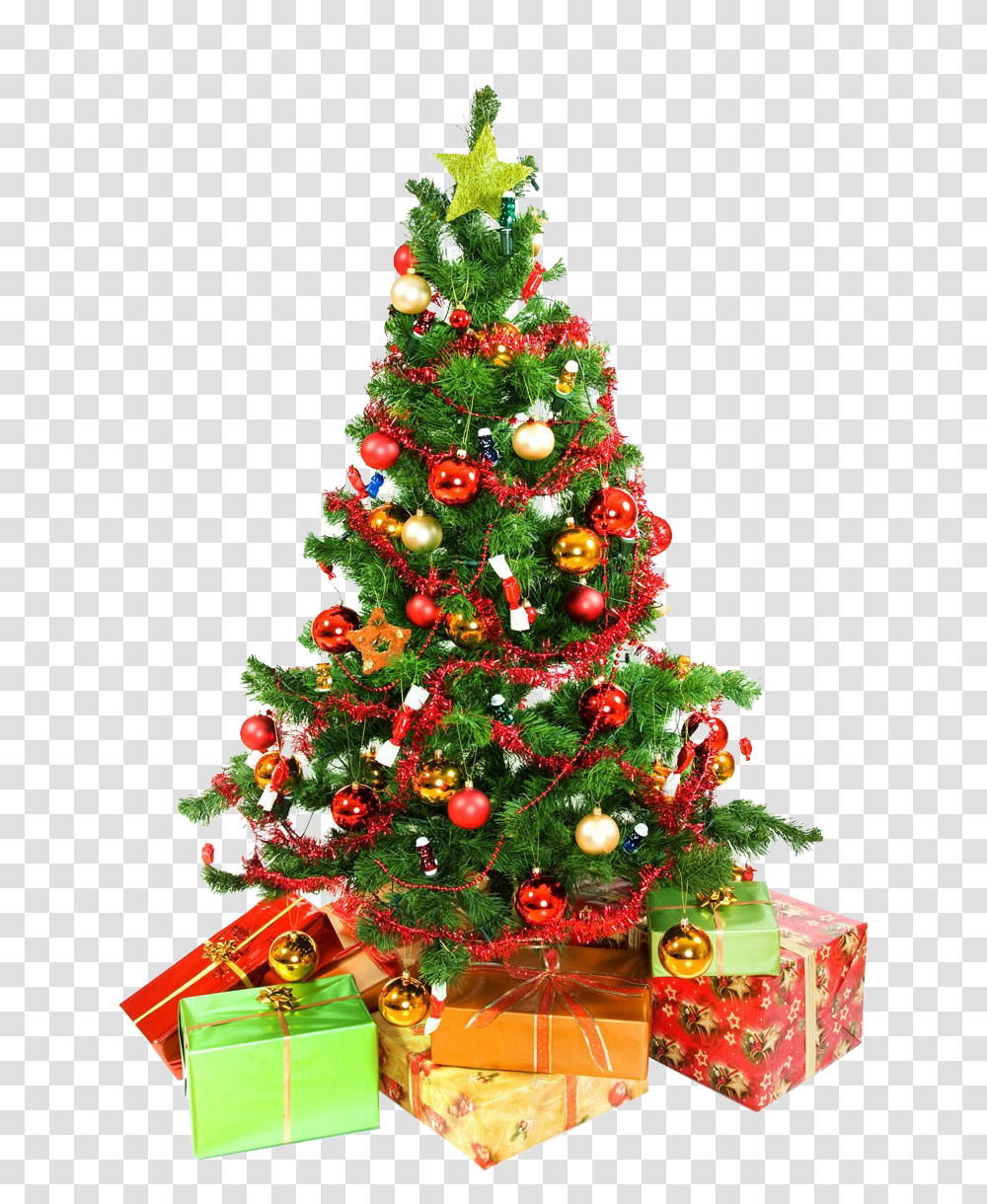 Christmas Tree, Holiday, Ornament, Plant Transparent Png