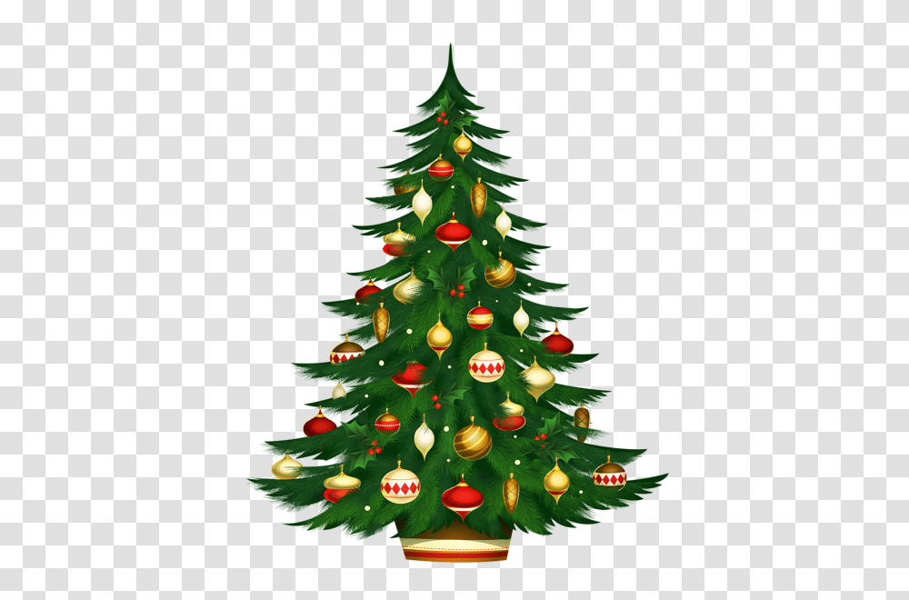 Christmas Tree, Holiday, Ornament, Plant Transparent Png