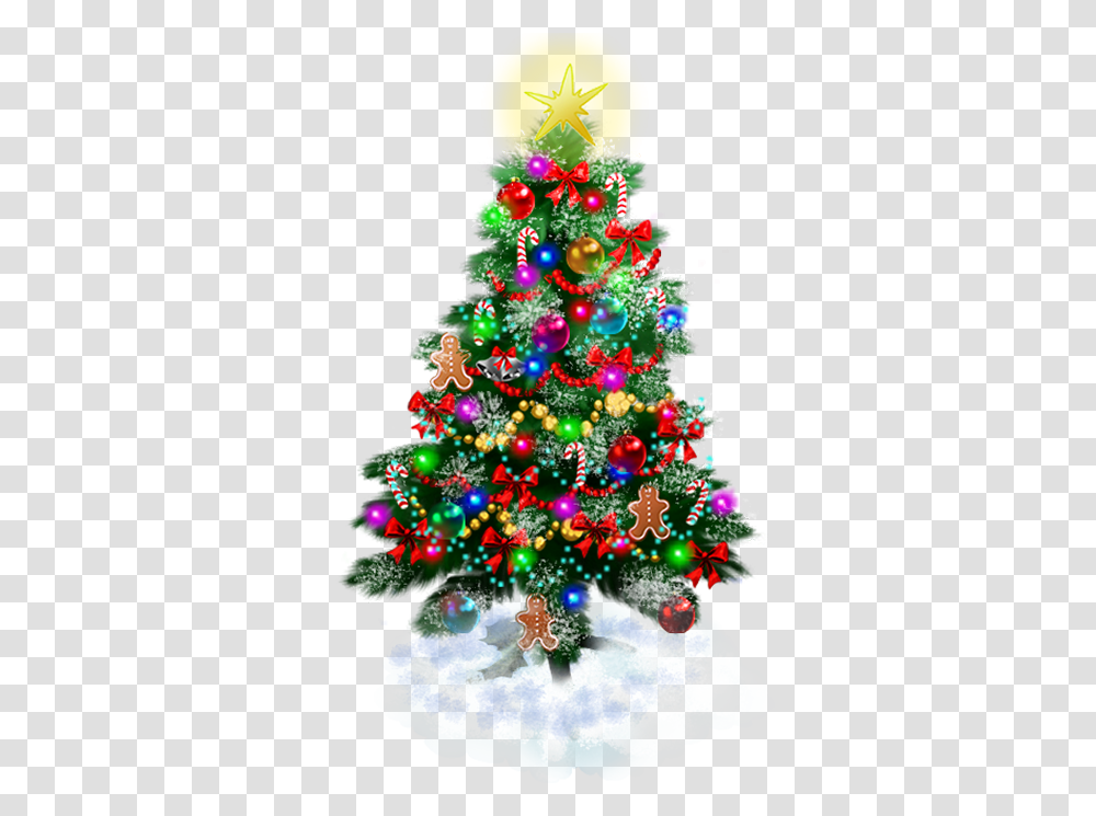 Christmas Tree, Holiday, Ornament, Plant Transparent Png