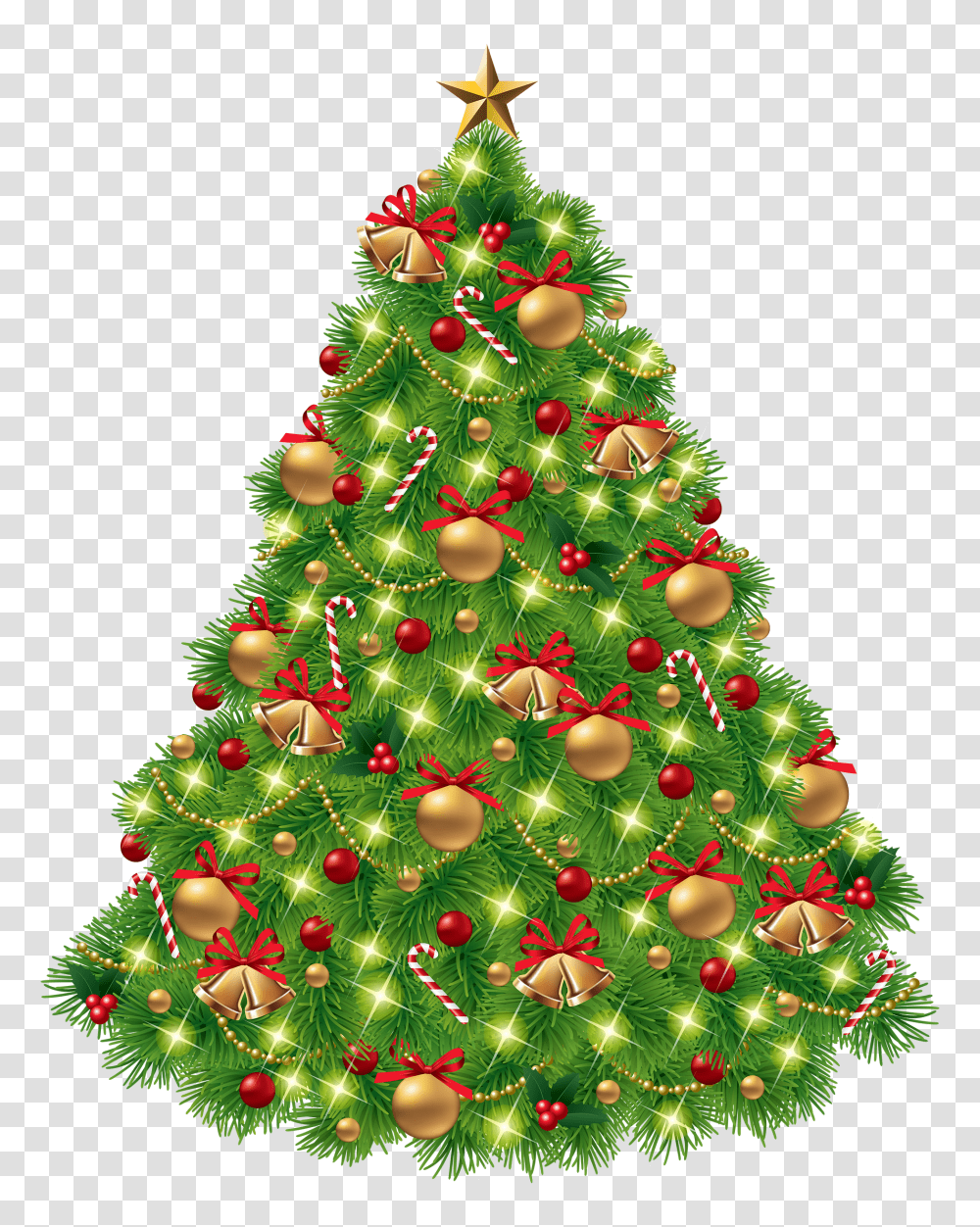 Christmas Tree, Holiday, Ornament, Plant Transparent Png