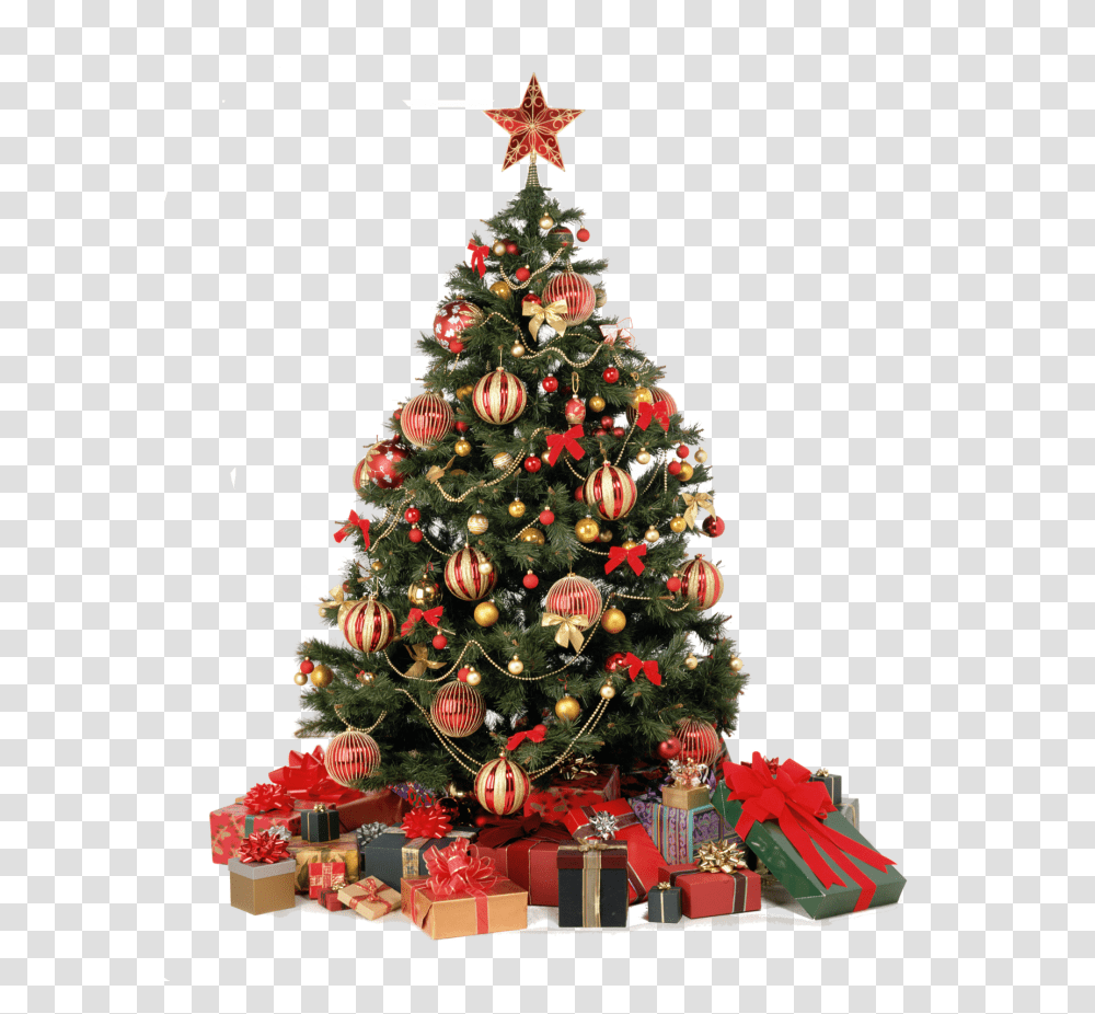 Christmas Tree, Holiday, Ornament, Plant Transparent Png