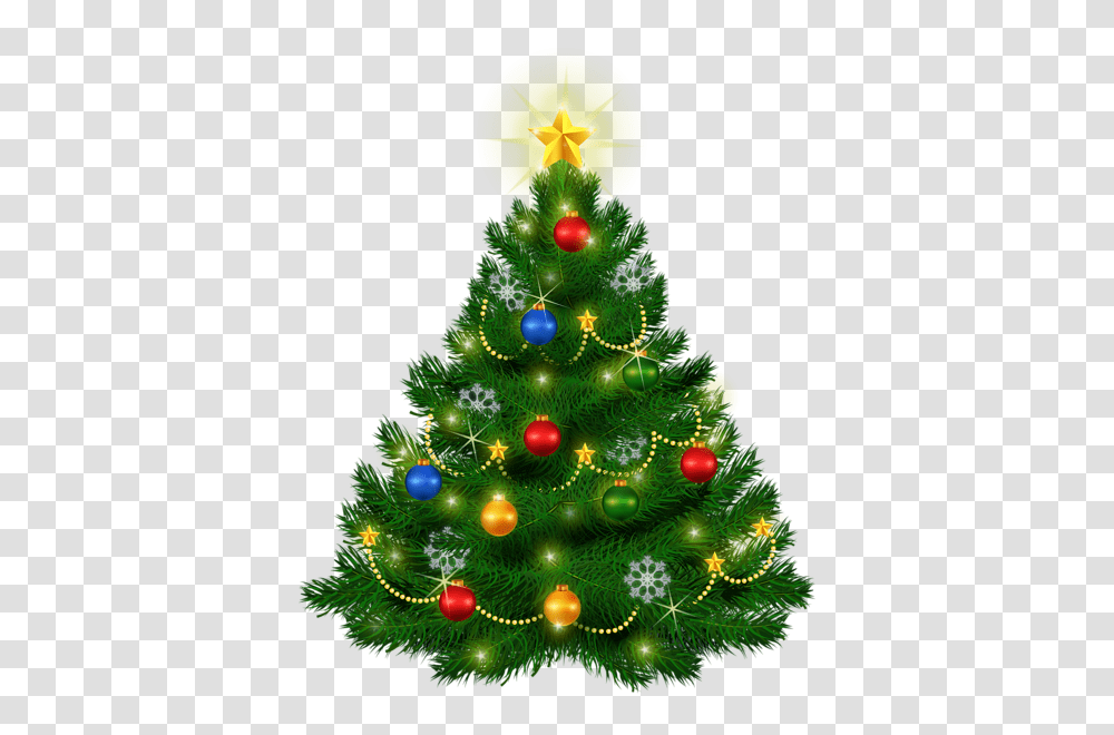 Christmas Tree, Holiday, Ornament, Plant Transparent Png