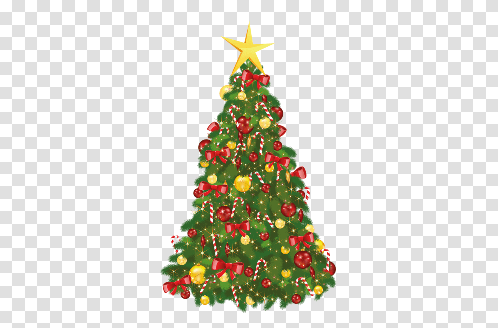 Christmas Tree, Holiday, Ornament, Plant Transparent Png