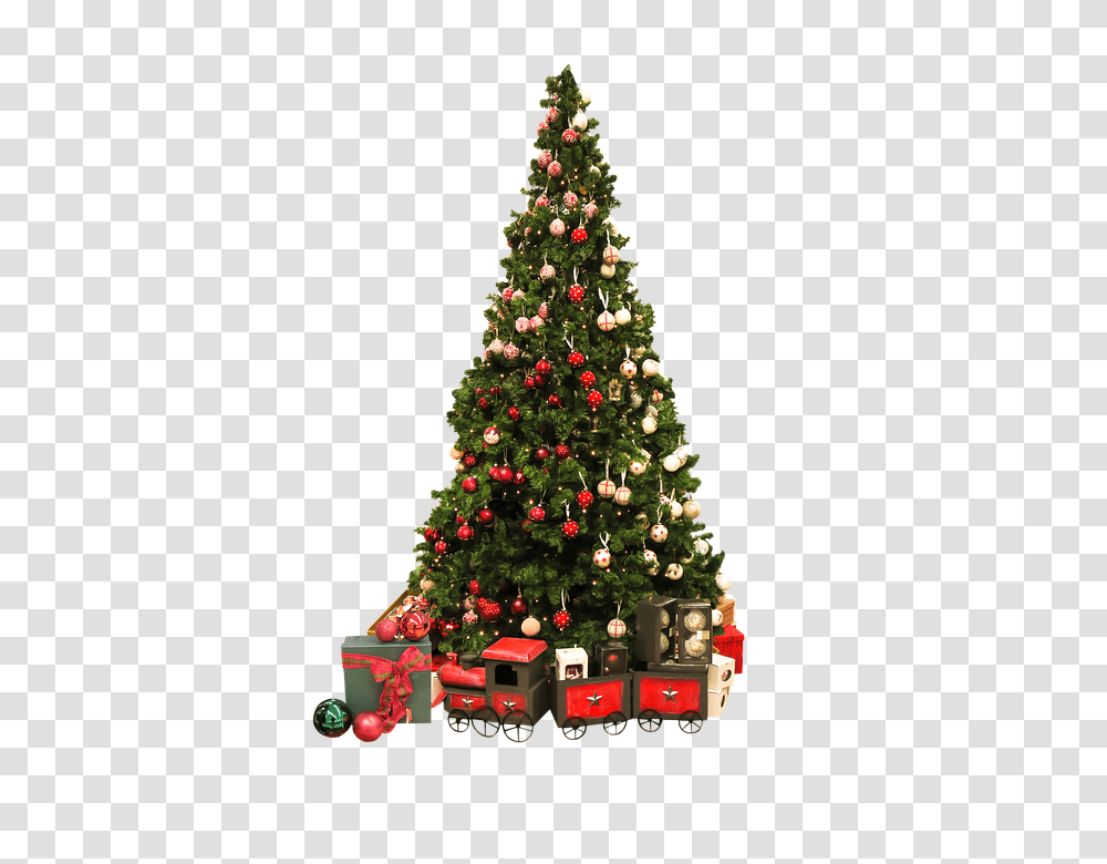 Christmas Tree, Holiday, Ornament, Plant, Vegetation Transparent Png